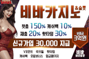비바 https://viv0101.com/?pcode=3002